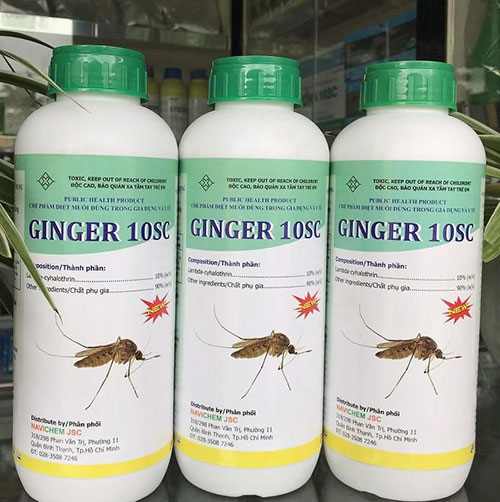 Thuốc diệt côn trùng Ginger 10SC - Diệt Mối Trần Anh - Công Ty TNHH Phòng Trừ Mối Và Diệt Côn Trùng Trần Anh